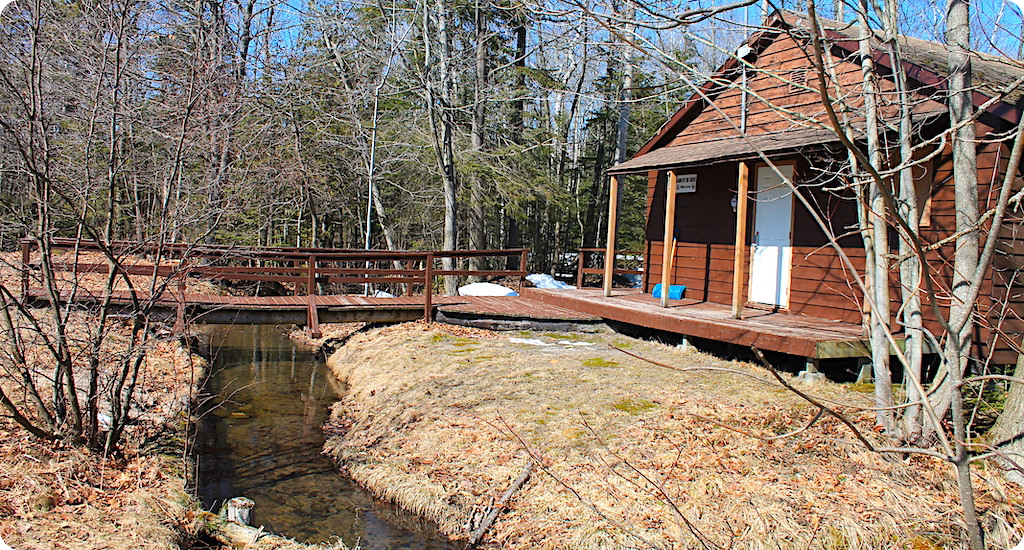 Foot bridge to access main field